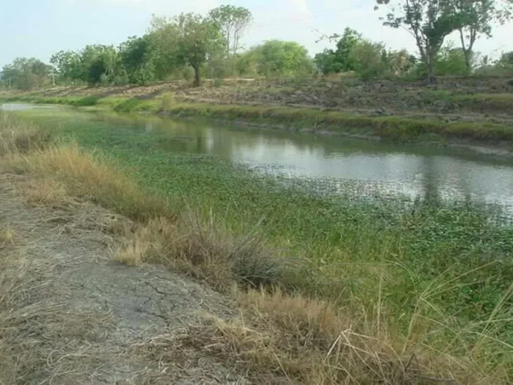 ที่ดิน ใกล้ป้อมตำรวจชุมชนกุฎี บางบาล-ผักไห่ พระนครศรีอยุธยา