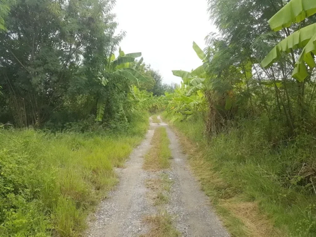 ที่ดิน บางนา-ตราด กม7 บางพลี สมุทรปราการ