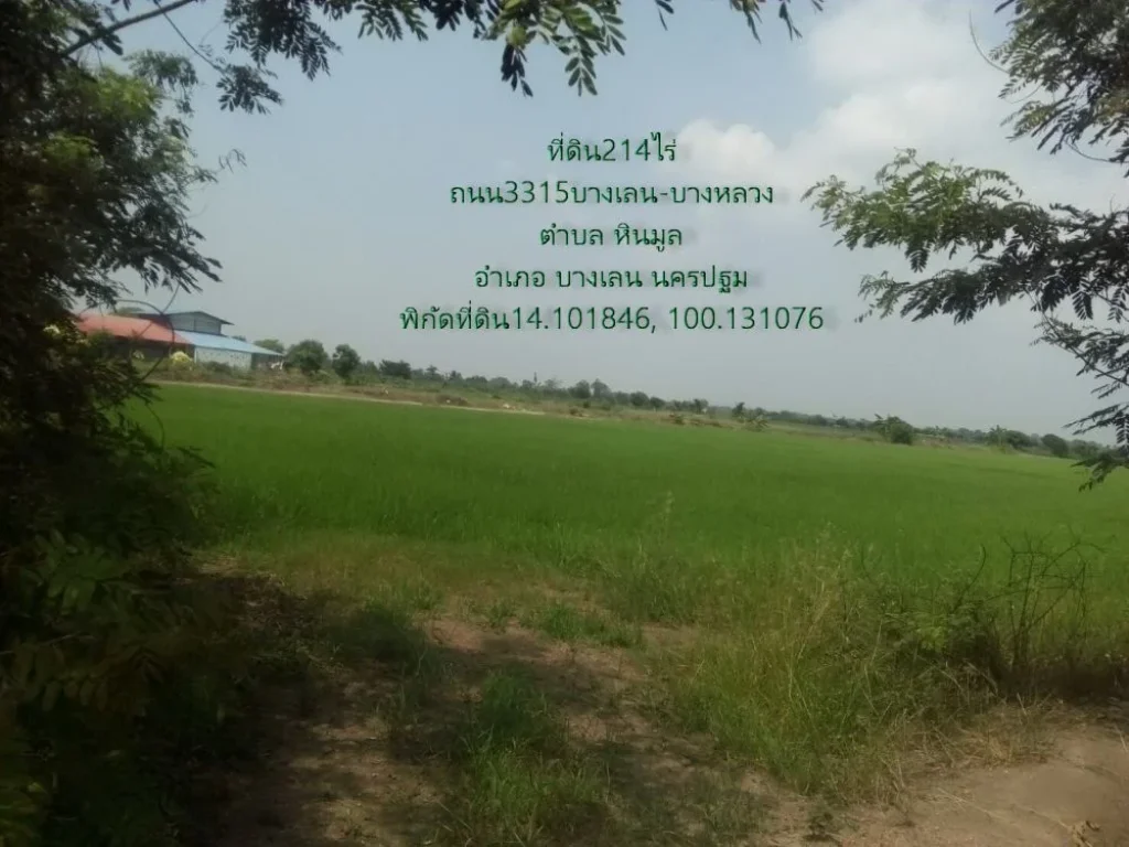 ที่ดิน214ไร่ ติดถนน3315 บางเลน-บางหลวง ตหินมูล อบางเลน จนครปฐม