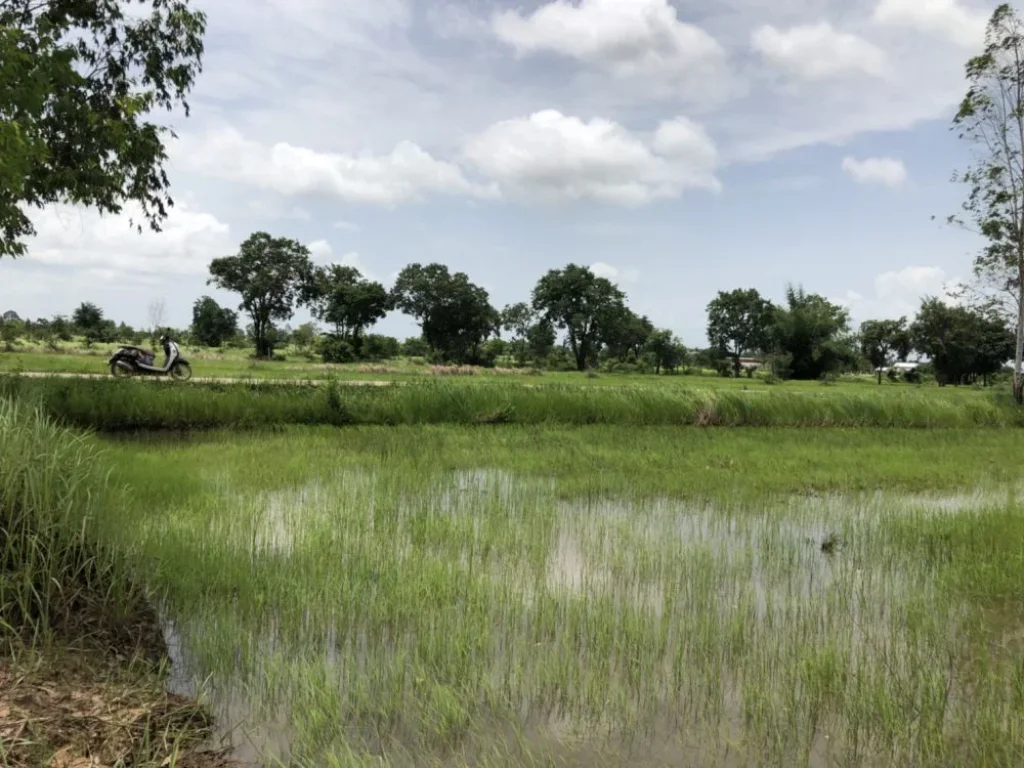 ขายที่ดิน เป็นโฉนด ติดถนนดำใหญ่สายหลักA อำเภออรัญประเทศ จังหวัดสระแก้ว