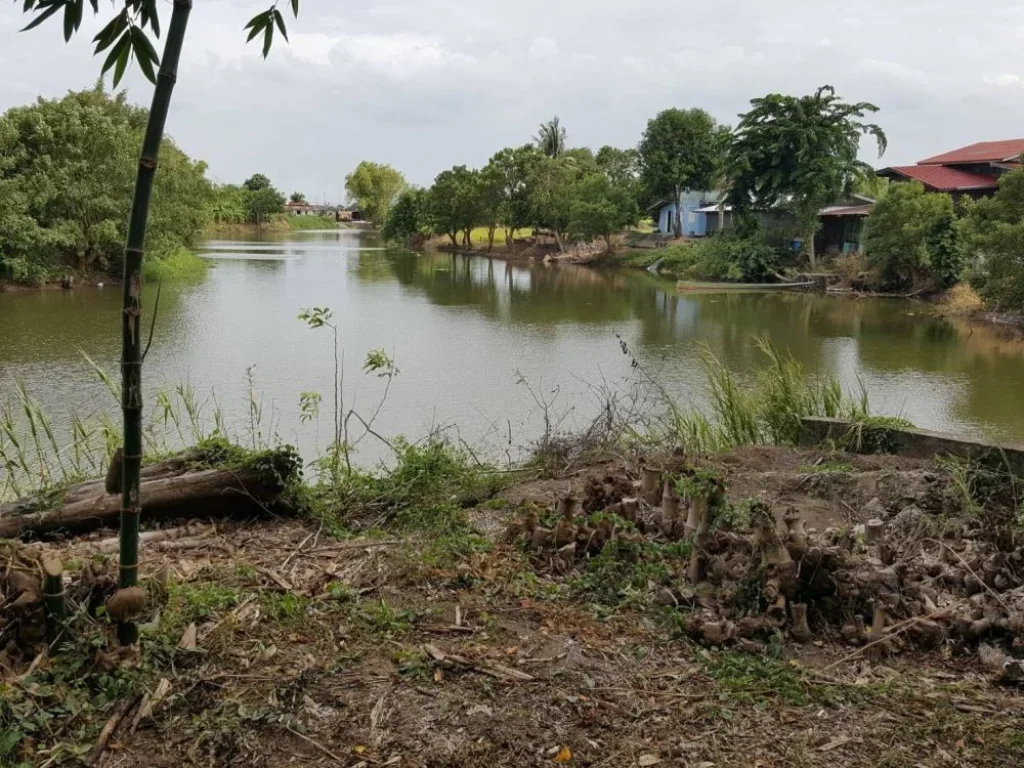 ขายที่ดินพร้อมบ้านเรือนไทย เนื้อที่ 17ไร่ ตบ้านเกาะ อบางไทร จอยุธยา