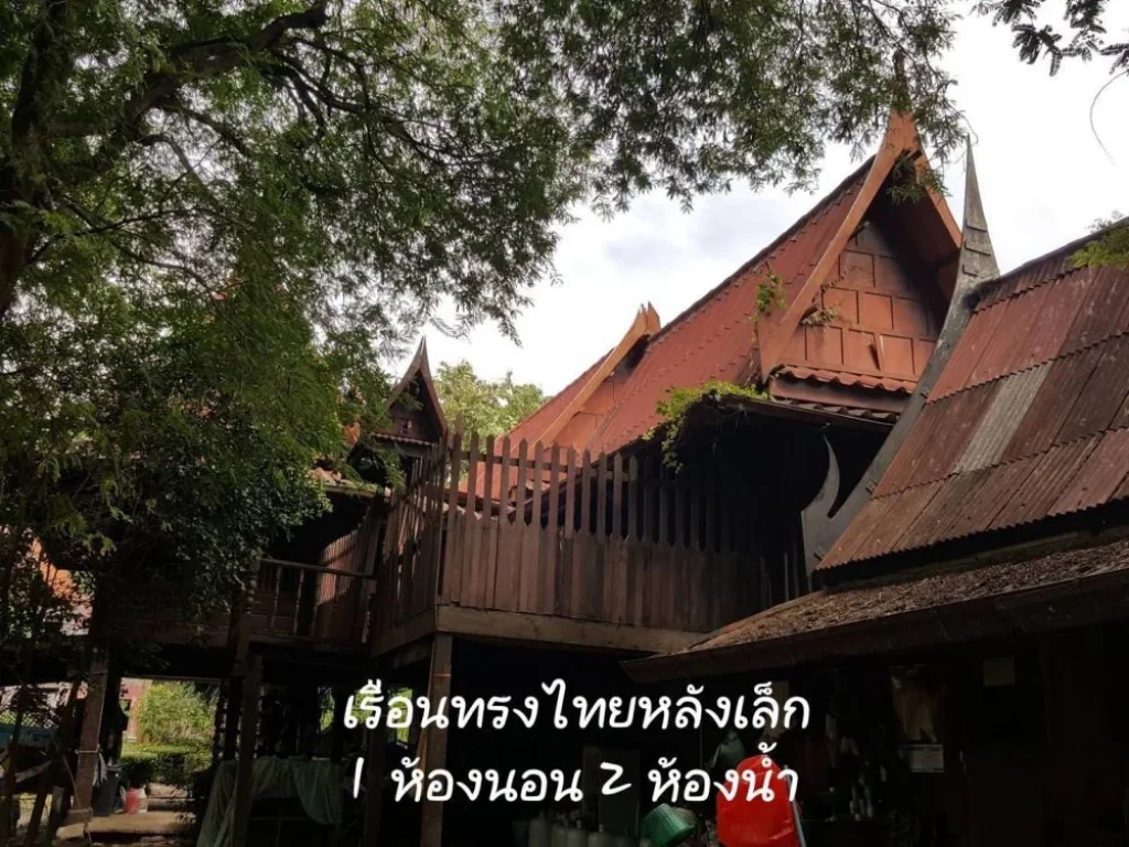 ขายที่ดินพร้อมบ้านเรือนไทย เนื้อที่ 17ไร่ ตบ้านเกาะ อบางไทร จอยุธยา