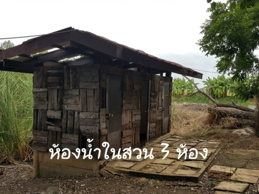 ขายที่ดินพร้อมบ้านเรือนไทย เนื้อที่ 17ไร่ ตบ้านเกาะ อบางไทร จอยุธยา