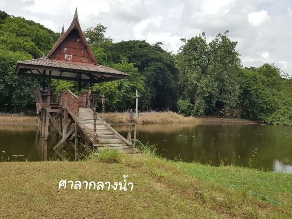 ขายที่ดินพร้อมบ้านเรือนไทย เนื้อที่ 17ไร่ ตบ้านเกาะ อบางไทร จอยุธยา