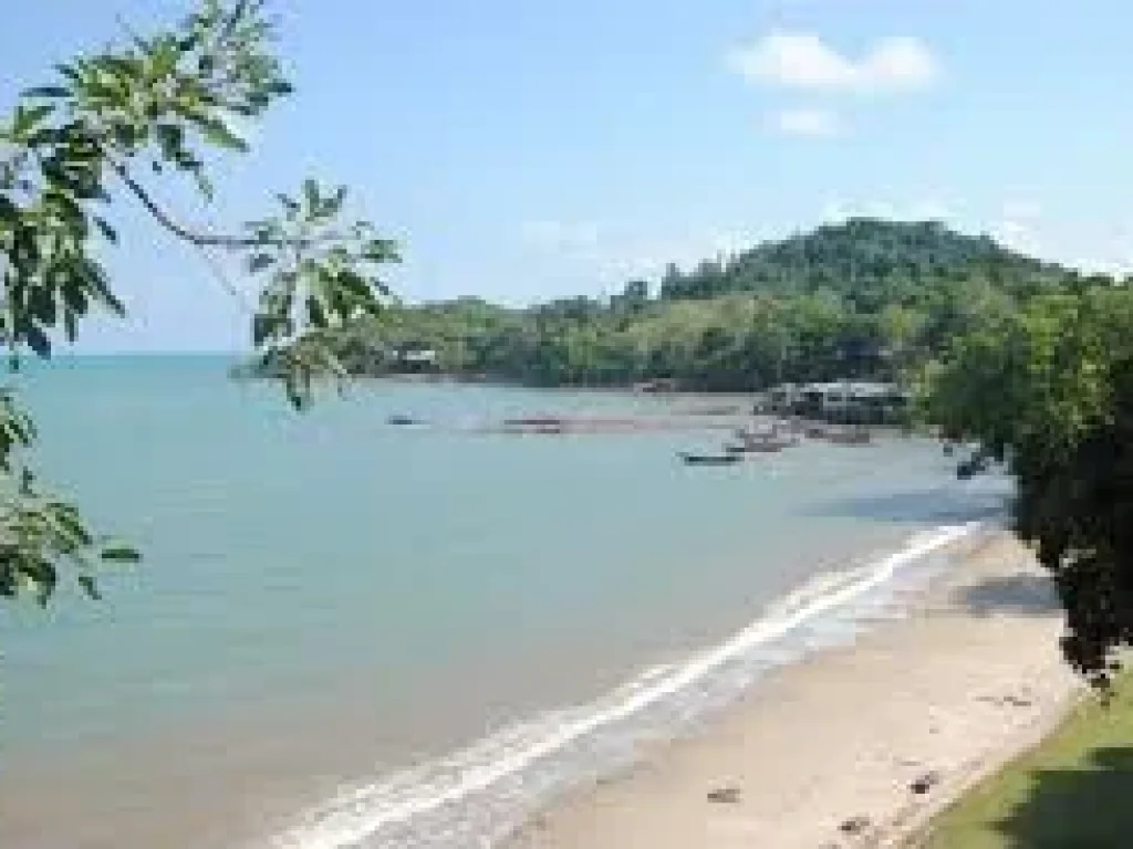 ขายบ้านหรูคู่ชายหาด หลังใหญ่ ติดทะเล สงบ เป็นหาดส่วนตัว หาดแม่พิมพ์ โฉนดพร้อมโอน