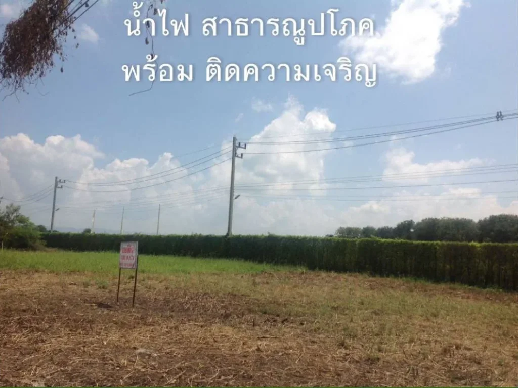 ขายที่ดินทำเลทอง100ตรวหลังโลตัส เพชรบูรณ์