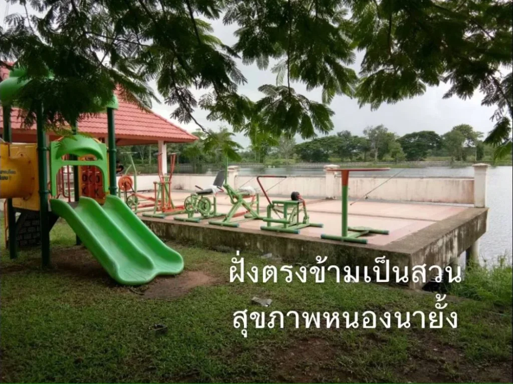 ขายที่ดินทำเลทอง100ตรวหลังโลตัส เพชรบูรณ์