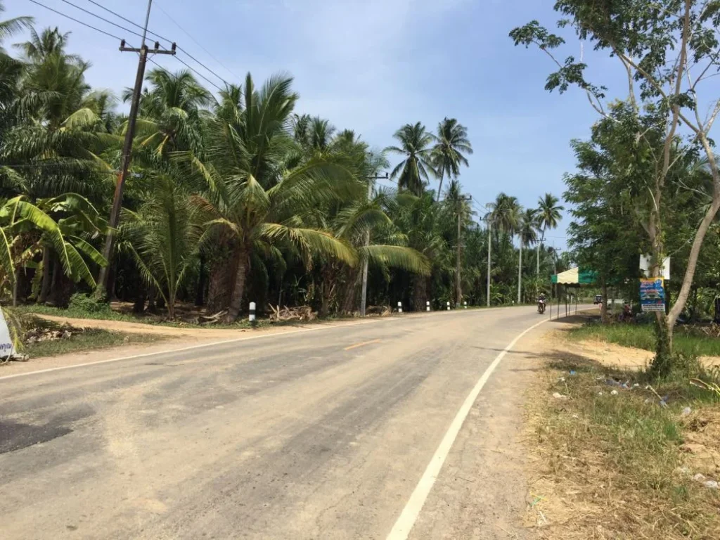 ขายที่ดิน อำเภอบางสะพาน จประจวบคีรีขันธ์