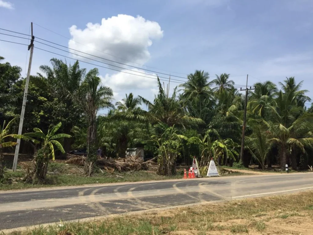 ขายที่ดิน อำเภอบางสะพาน จประจวบคีรีขันธ์