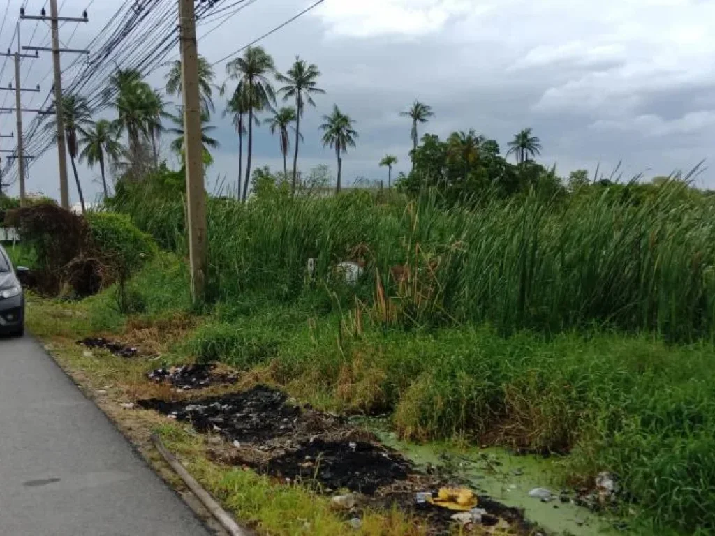 ที่ดิน8-2-87ไร่ติดถนนพุทธมณฑลสาย5 ตไร่ขิง อสามพราน จนครปฐม