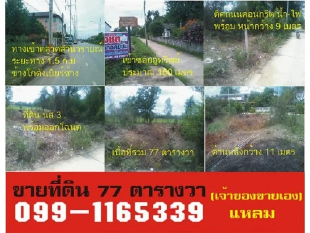 ขายที่ดิน 77 ตารางวา ห่างส่ี่แยกไฟแดงประมาณ 15 กมใกล้ตลาด ตรงข้ามสนามกีฬาเทศบาล ร่มรื่น น้ำไฟพร้อมติดถนนคอนกรีต 