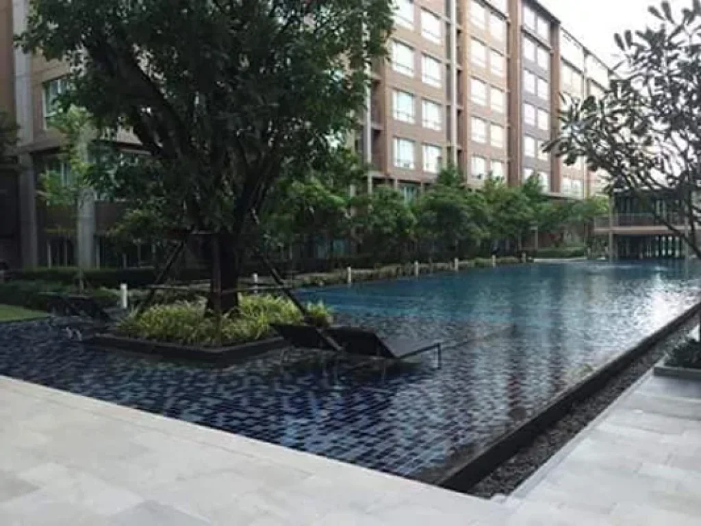 MT-0036 -คอนโดเช่า DCondo Campus วิวสวยมากๆมี 1 ห้องนอน 1 ห้องน้ำ 1 ห้องครัว 1 ที่จอดรถ ตรัษฎา อเมือง