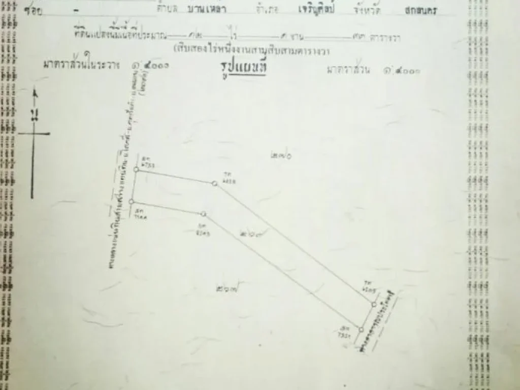 ขายที่ดินฉโนดพร้อมไร่ไม้พะยูงติดถนนเส้นบ้านม่วง-บึงกาฬ ในอเจริญศิลป์ จสกลนคร เนื้อที่ 49 ไร่ๆละ 90000 บาท