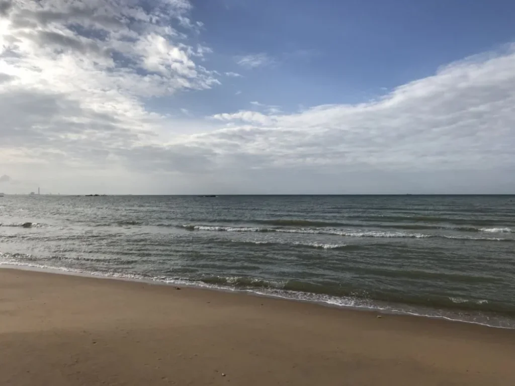 ขายที่ดินติดชายหาด ใกล้สนามบินอู่ตะเภา อำเภอบ้านฉาง จังหวัดระยอง