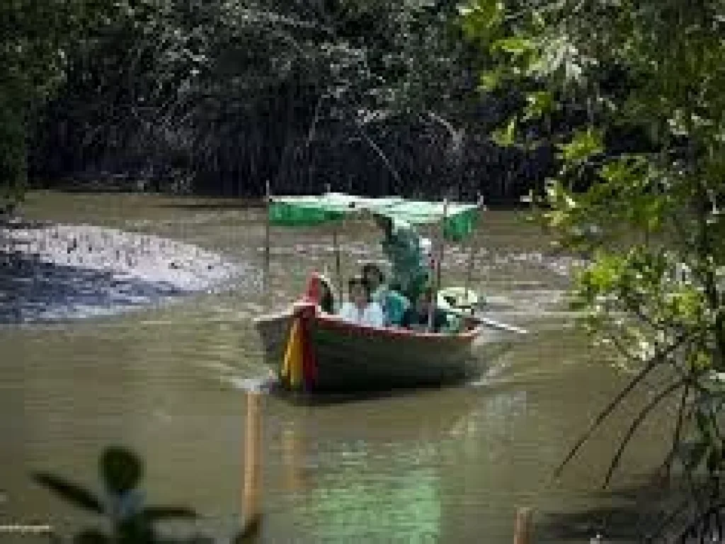 ขายที่ดินติดแม่น้ำประแสร์ 24 ไร่ ใกล้ถนนสุขุมวิท ติดถนนคอนกรีต น้ำไฟ พร้อม