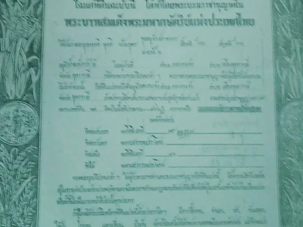 ขายที่ดินสวย บนทำเลสุดยอดใกล้ๆตึกคอมเหมาะสร้างอพาร์ทเมนท์ ขนาด 166 ตรว ตหมากแข้ง อเมือง จอุดรธานี