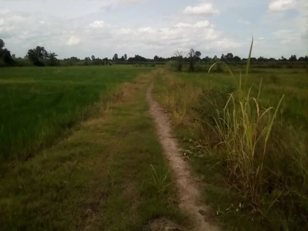 ขายที่ดินในอำเภอเมืองนครสวรรค์