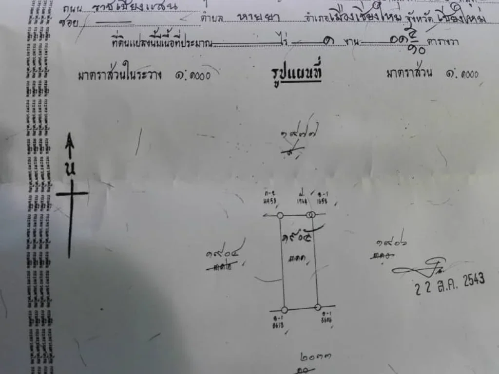 ขายที่ดินหายยา ราคาถูก