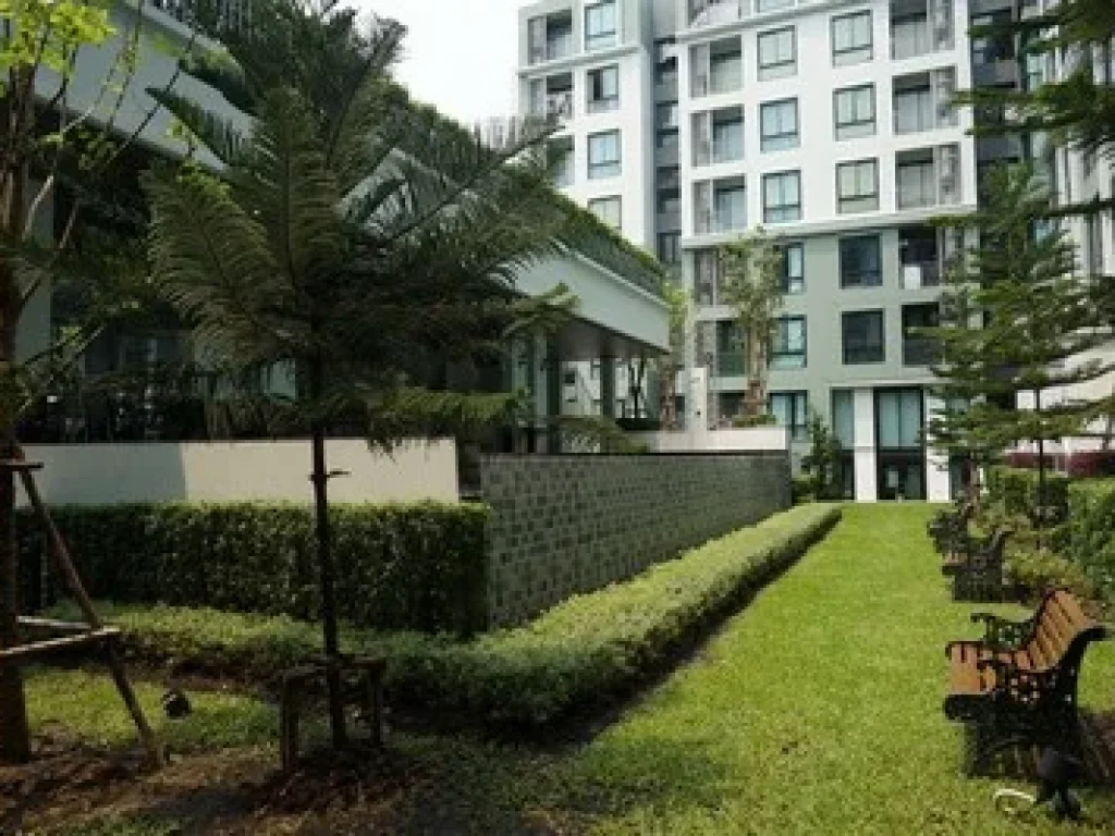 Kensington พหล-เกษตร พหลฯ42 ตรงข้าม มเกษตร ห้อง Pool Access 1bed 35 ตรม