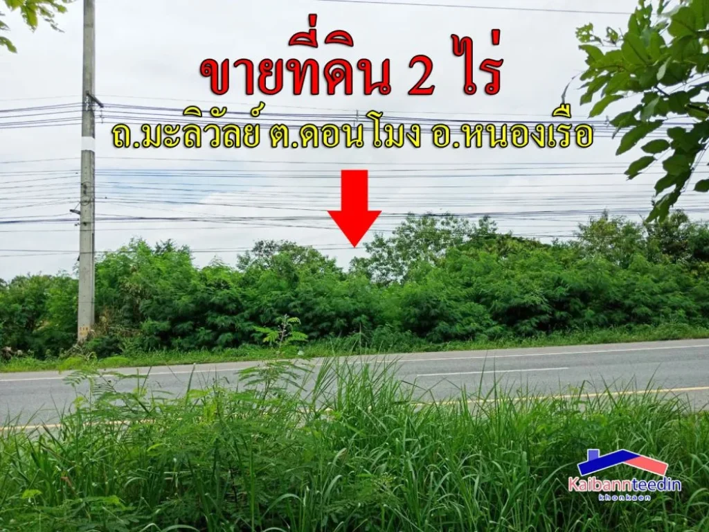 ขายที่ดิน 2 ไร่ ติดถนนมะลิวัลย์ ตำบลดอนโมง อำเภอหนองเรือ ขอนแก่น