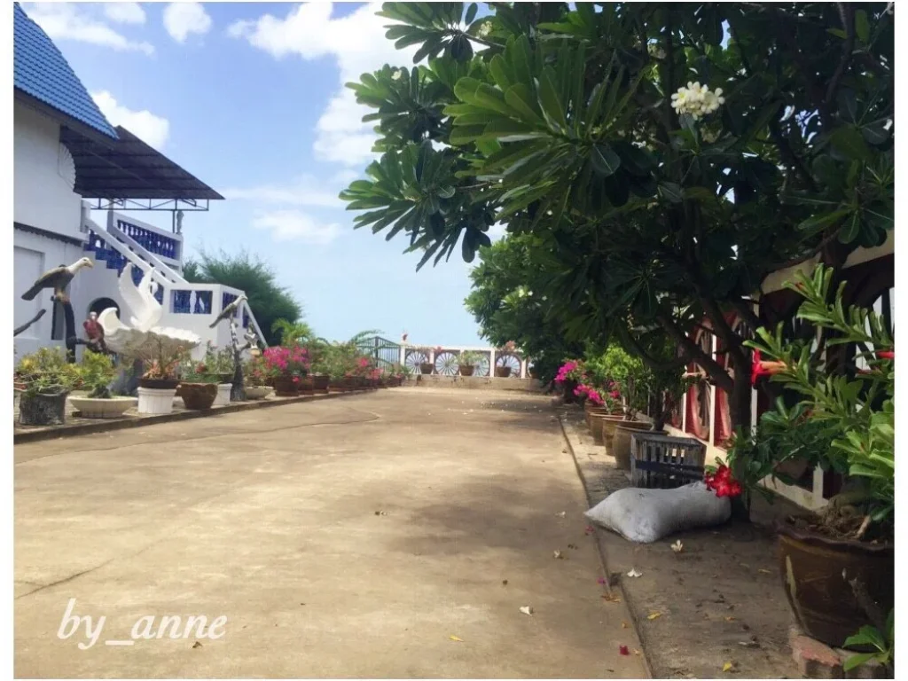 ขายบ้านพร้อมที่ดิน บ้านพักติดริมทะเล ชายหาดปึกเตียน ตปึกเตียน อท่ายาง จเพชรบุรี โฉนด