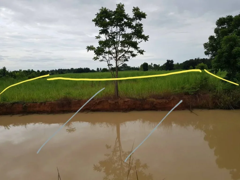 ขายที่ดินใกล้ศาลชุมแพ บ้านห้วยบง ตหนองไผ่ อชุมแพ จขอนแก่น