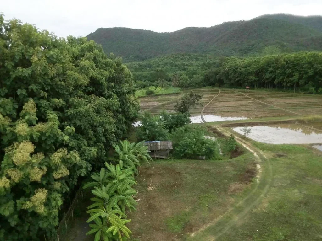 ที่สวยวิวทุ่งนาภูเขา ดอยสะเก็ด เชียงใหม่