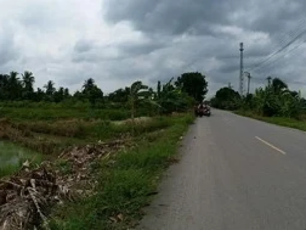 ขายที่ดิน ลำลูกกา คลอง11 ฝั่งตะวันตกเนื้อที่ 3 ไร่ ติดถนนลาดยางสีดำ น้ำประปาไฟฟ้ามีครบ