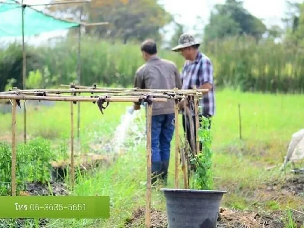 ที่สวนใกล้ๆกทมต้องที่นี่เลยจ้า ที่ดินโฉนดพร้อมโอน เนื้อที่ 4ไร่140ตรวมี2โฉนด