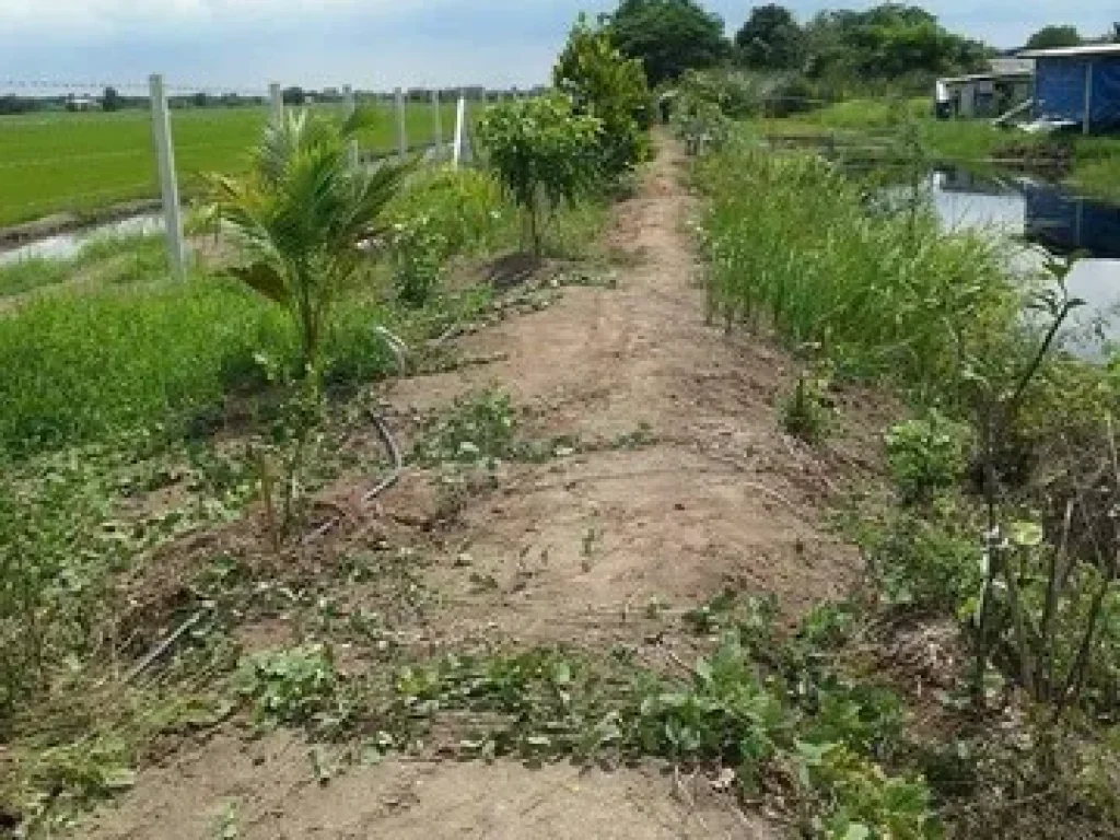 ที่สวนใกล้ๆกทมต้องที่นี่เลยจ้า ที่ดินโฉนดพร้อมโอน เนื้อที่ 4ไร่140ตรวมี2โฉนด