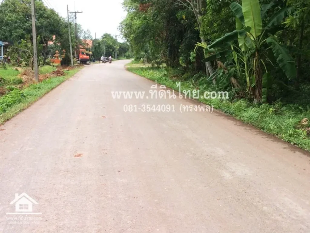 ขายสวนยาง-ปาล์ม-ท่าใหม่ จันทบุรี โฉนด 10-0-39ไร่ ตรำพัน อท่าใหม่ จจันทบุรี รหัส L74