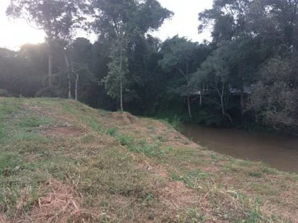 Sale Farm Fruits among natural forest at Pak Chong districtedNakornratchasima or Korat Province