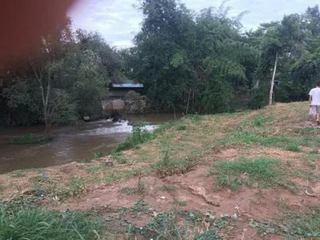 Sale Farm Fruits among natural forest at Pak Chong districtedNakornratchasima or Korat Province