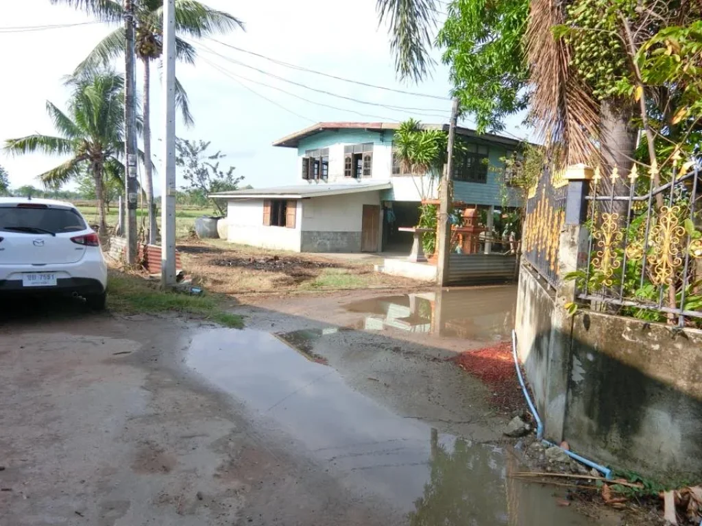 บ้านพร้อมที่ดิน โฉนด 100ตรว ตสะแกราบ อโคกสำโรง จลพบุรี