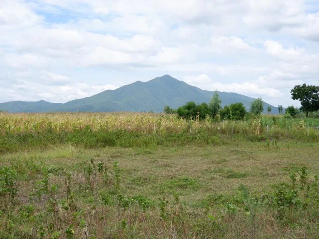 ที่ดินโฉนด 100ตรว สวย สงบ ตคลองเกต อโคกสำโรง ลพบุรี