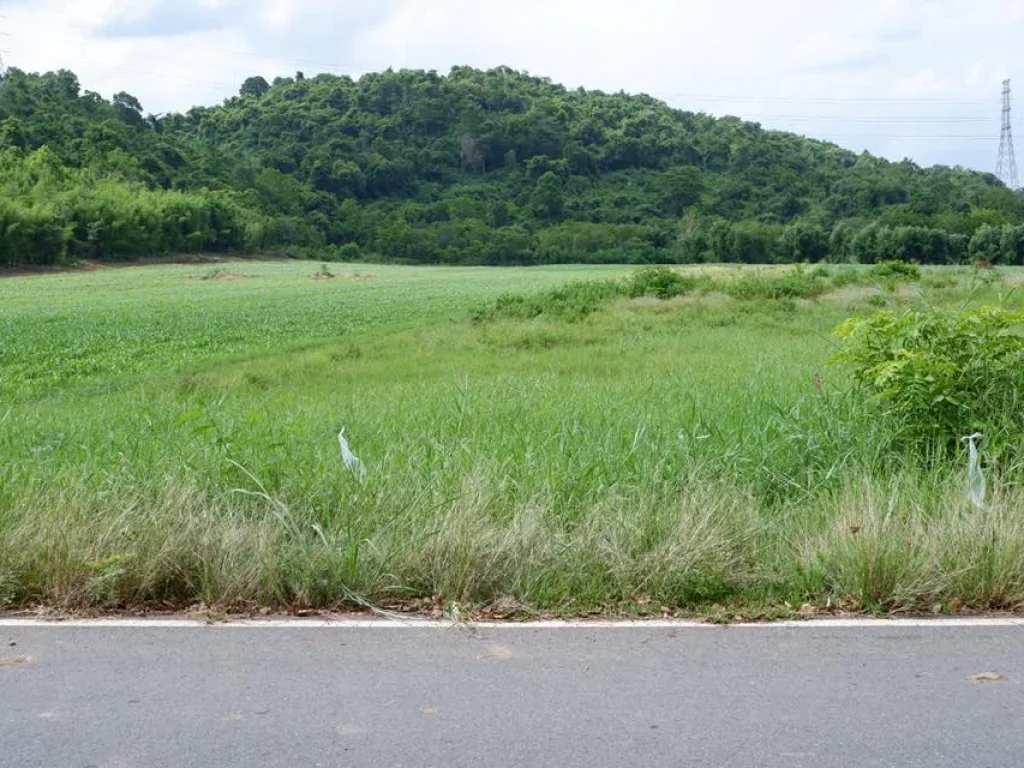 ที่ดิน โฉนด 7ไร่ 3งาน วิวเขาติดถนนดำ ตห้วยแห้ง อแก่งคอย จสระบุรี