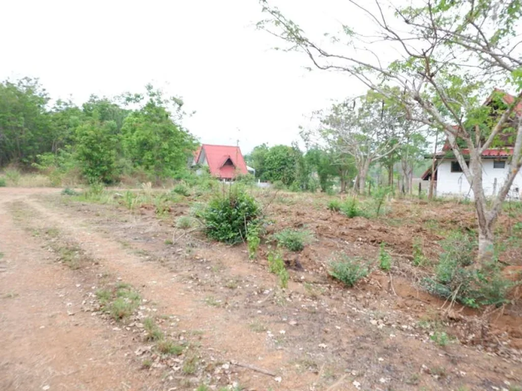 ที่ดินโฉนด เนื้อที่ 100ตรว ตนางั่ว อเมืองเพชรบูรณ์