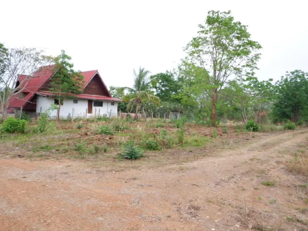 ที่ดินโฉนด เนื้อที่ 100ตรว ตนางั่ว อเมืองเพชรบูรณ์