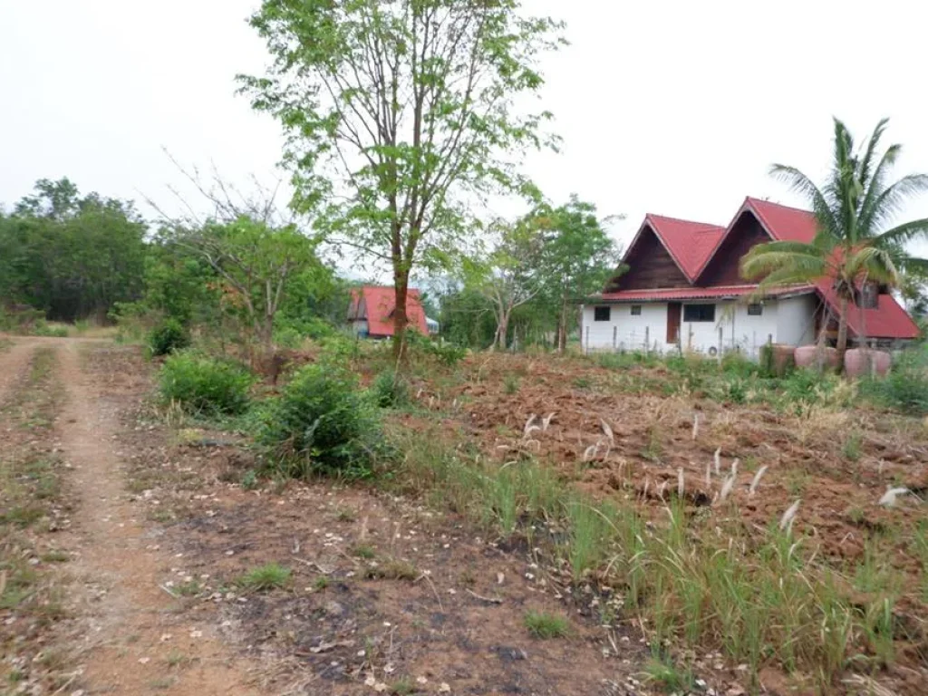 ที่ดินโฉนด เนื้อที่ 100ตรว ตนางั่ว อเมืองเพชรบูรณ์