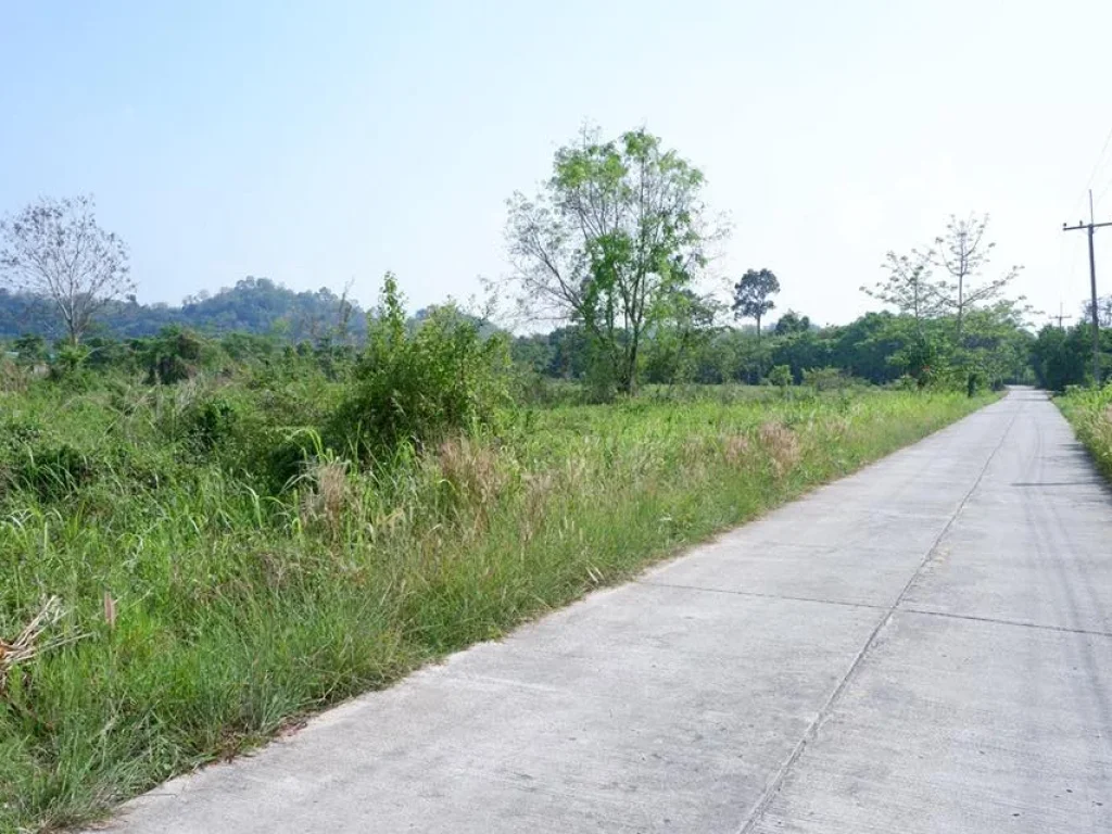 ที่ดิน โฉนด 3-4ไร่ วิวเขาติดถนนคอนกรีต ตชะอม อแก่งคอย จสระบุรี