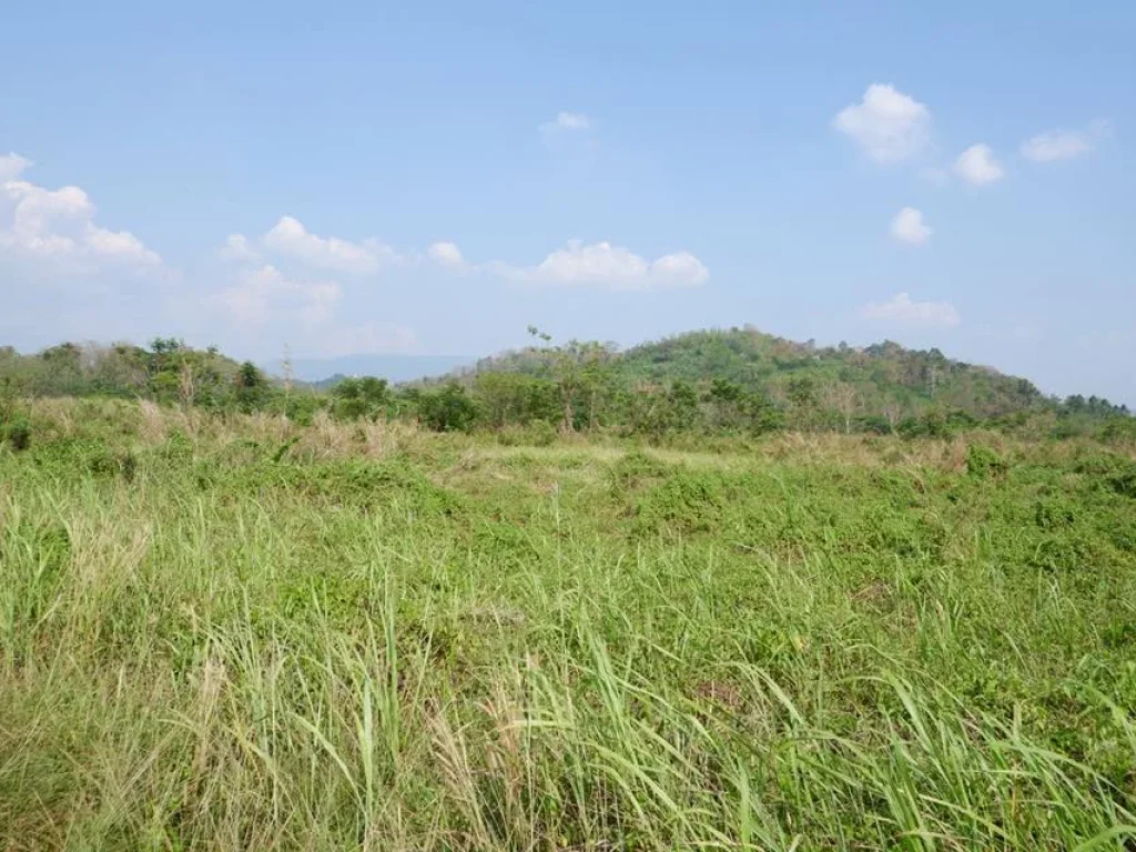 ที่ดิน โฉนด 3-4ไร่ วิวเขาติดถนนคอนกรีต ตชะอม อแก่งคอย จสระบุรี