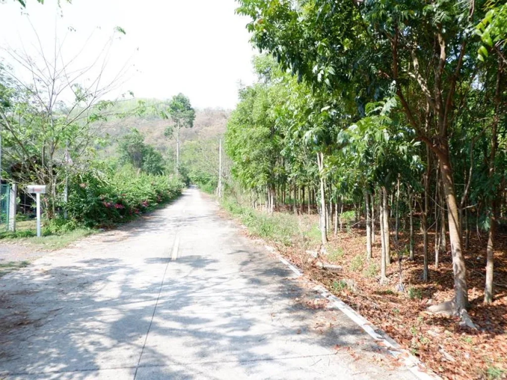 ที่ดิน โฉนด 3ไร่ วิวเขาติดถนน ตชะอม อแก่งคอย จสระบุรี