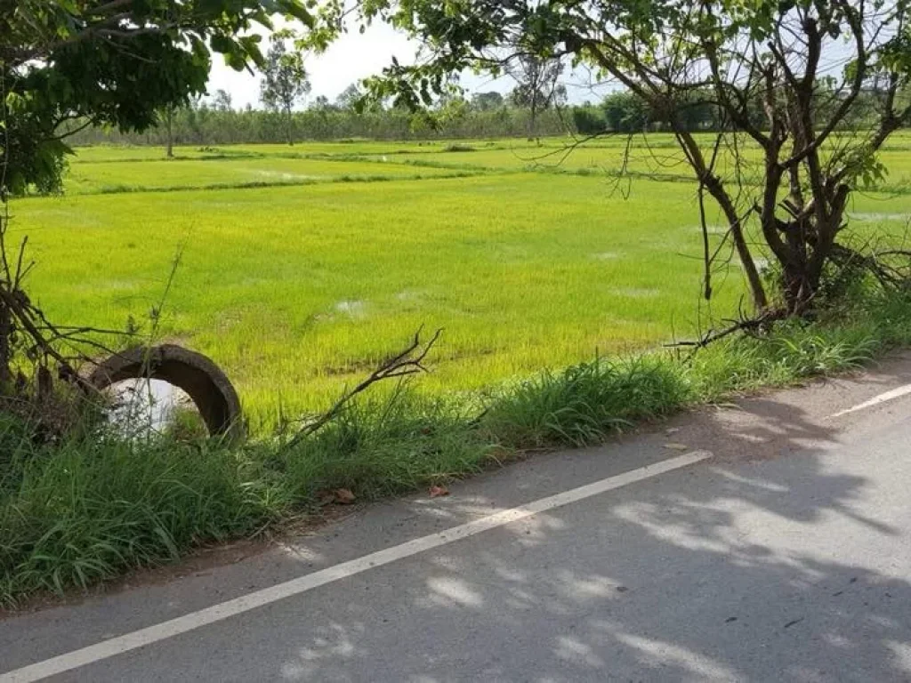 ที่ดิน โฉนด 2ไร่ ที่นาติดถนนดำ ตห้วยแห้ง อแก่งคอย จสระบุรี