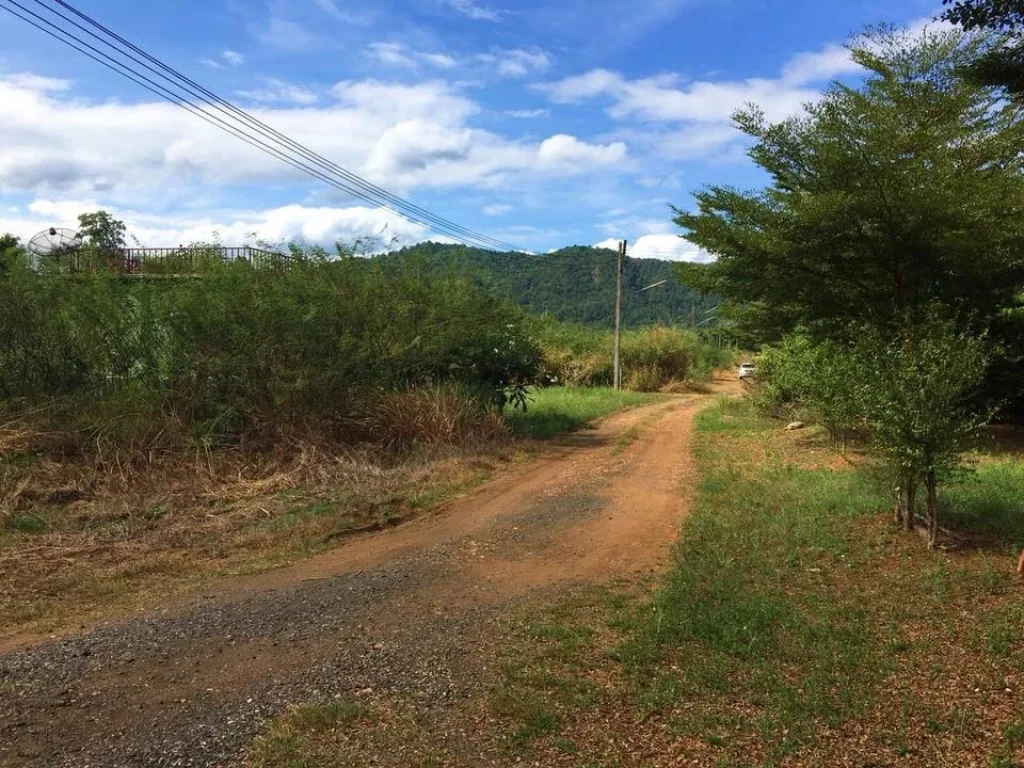 ที่ดิน โฉนด 80ตรว ตนางั่ว อเมืองเพชรบูรณ์