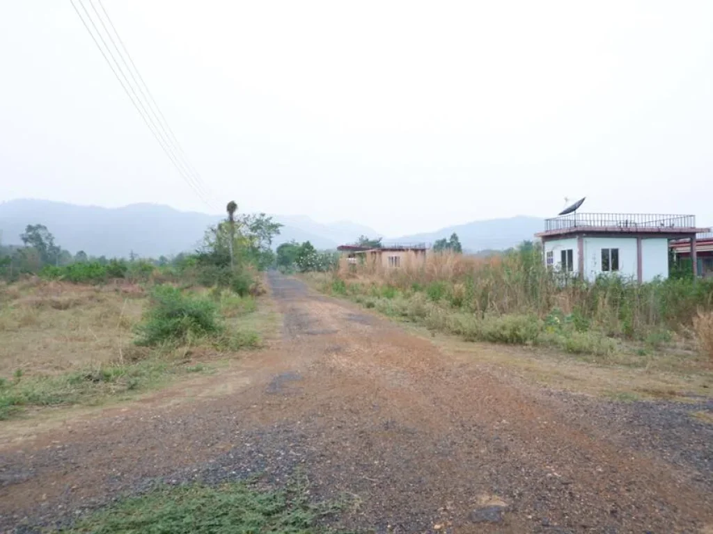 ที่ดิน โฉนด 80ตรว ตนางั่ว อเมืองเพชรบูรณ์