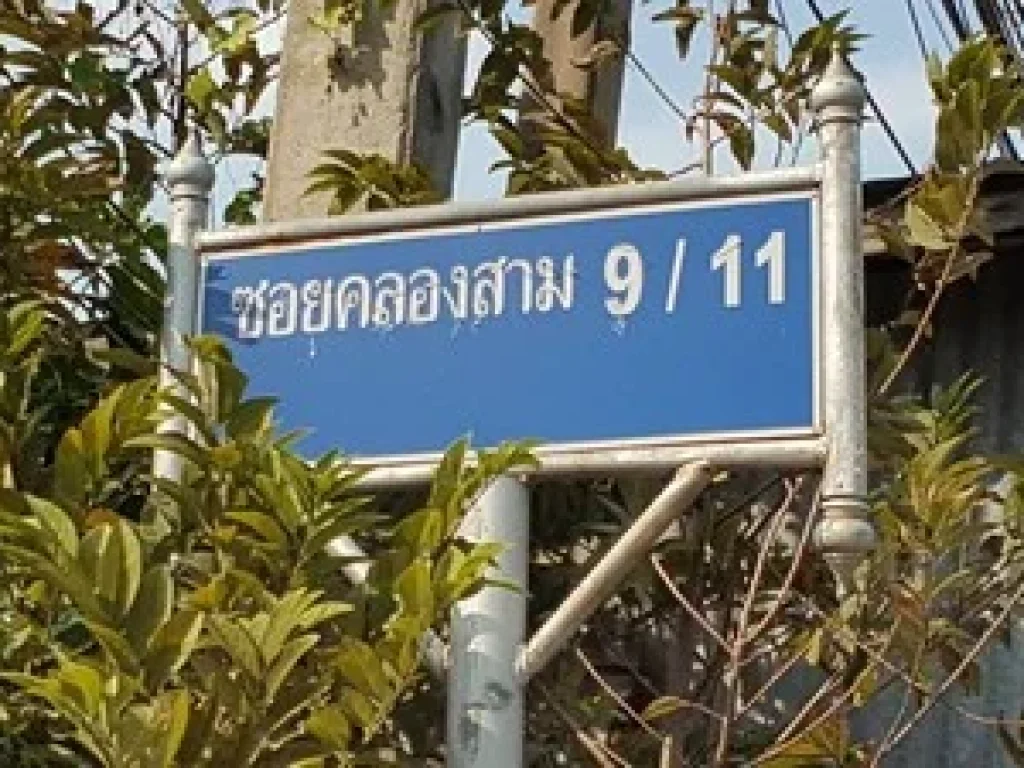 ขายที่ดินเปล่าแปลงสวย 104 ตรว ทำเลดี ใกล้วัดพระธรรมกาย ซคลองสาม 911