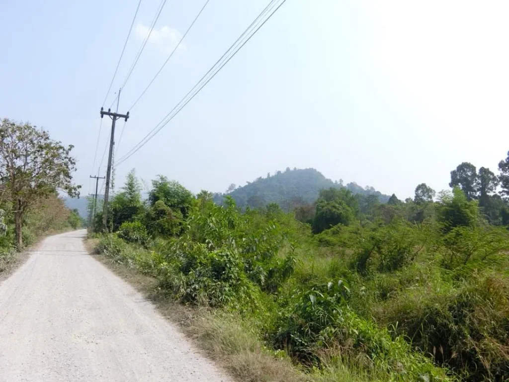 ที่ดินโฉนด 3ไร่ มาบโสม ตชะอม อแก่งคอย สระบุรี