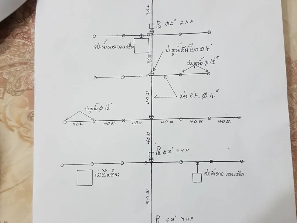 ขายกิจการ ปางช้าง ทำเลดี น่าลงทุน