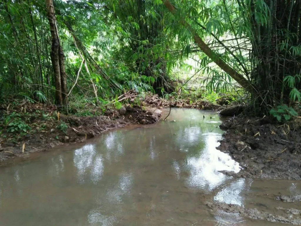 ที่ดินราคาถูกมาก ติดลำธารเล็กๆ อทองผาภูมิ