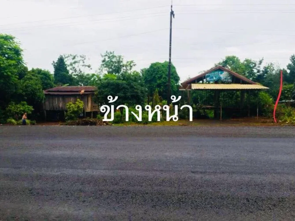 ขายที่ดินติดถนนใหญ่ที่ลาว อปากช่อง จปากเซ